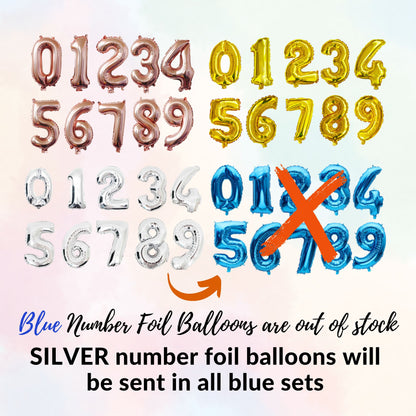 Any Number Happy Birthday Balloon DIY Kit |  Preset Balloons set | White, Rose Gold, Blue, Silver or Gold Choice + Star Balloons + Curtains